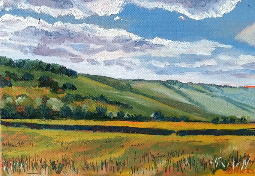 Philippa Hicks - Summer fields